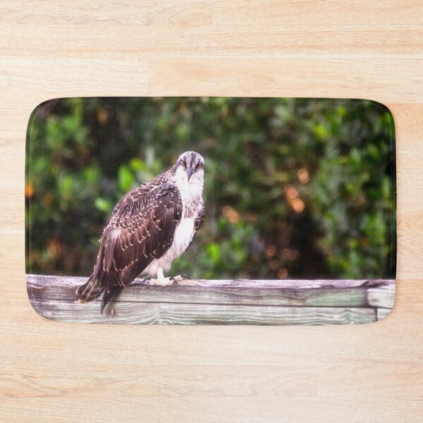 Item preview, Young Osprey designed and sold by Kathy Weaver.