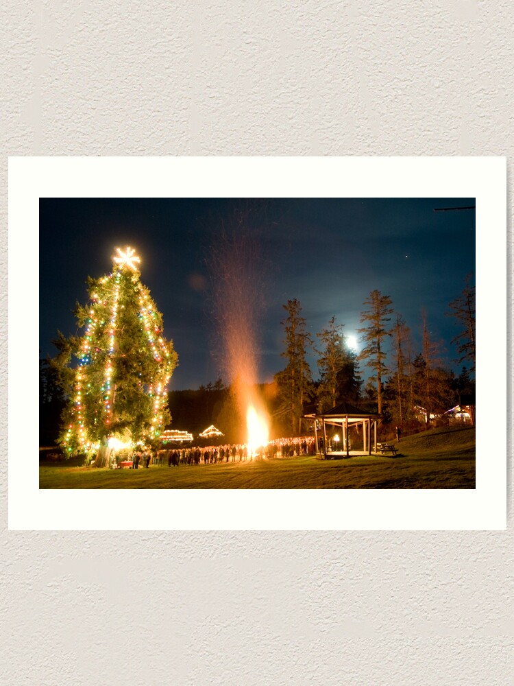 Alternate view of Moonrise on Christmas Eve, Mayne Island Art Print