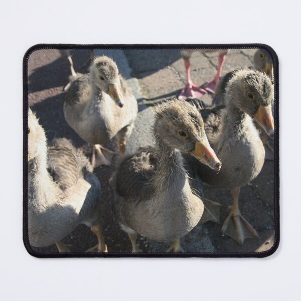Item preview, Feed Us! designed and sold by LPYLPhotography.