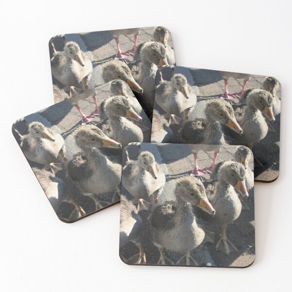 Item preview, Feed Us! designed and sold by LPYLPhotography.