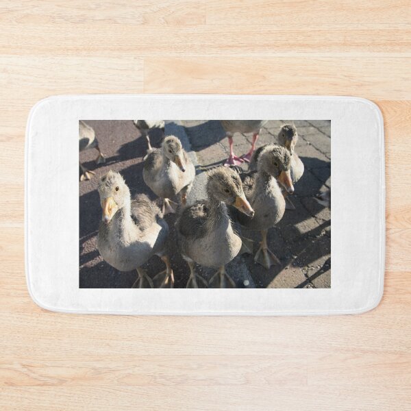 Item preview, Feed Us! designed and sold by LPYLPhotography.