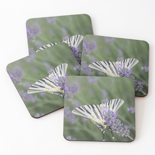 Item preview, Common Yellow Swallowtail Feeding On  Lavender Photograph designed and sold by taiche.