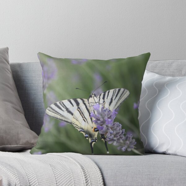 Item preview, Common Yellow Swallowtail Feeding On  Lavender Photograph designed and sold by taiche.