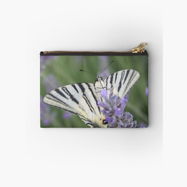 Item preview, Common Yellow Swallowtail Feeding On  Lavender Photograph designed and sold by taiche.
