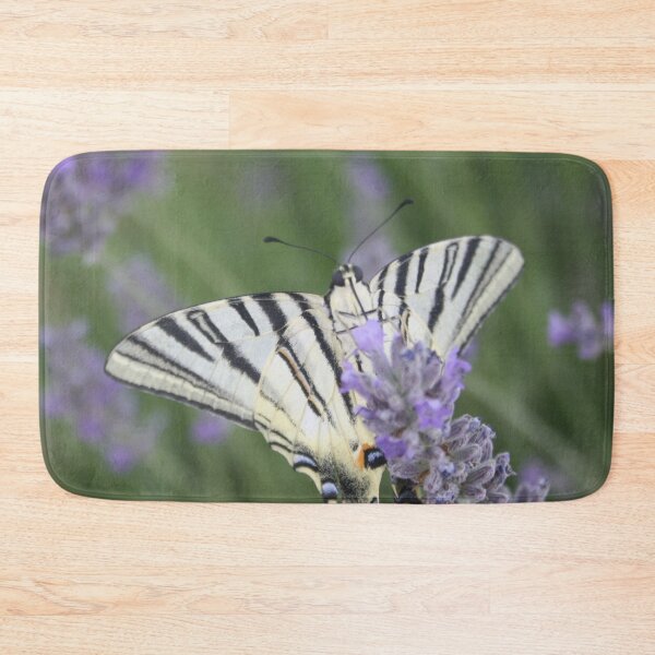 Item preview, Common Yellow Swallowtail Feeding On  Lavender Photograph designed and sold by taiche.