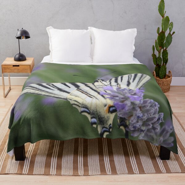 Item preview, Common Yellow Swallowtail Feeding On  Lavender Photograph designed and sold by taiche.