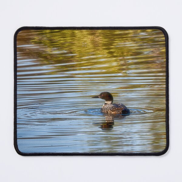 Item preview, Visiting Loon designed and sold by Kathy Weaver.
