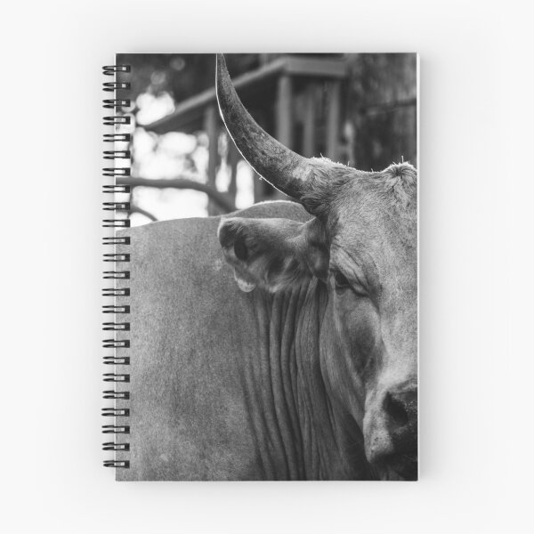 Item preview, Cows Horn designed and sold by Danielle Espin.