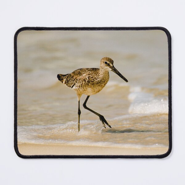 Item preview, Beach Combing in the Sunshine designed and sold by James Hoffman.