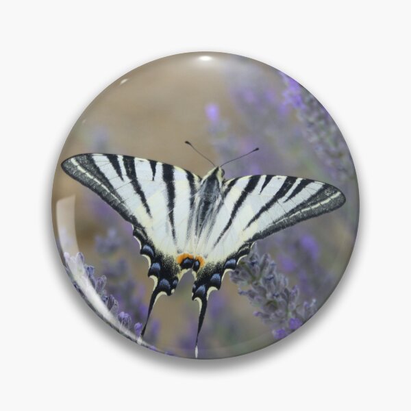 Item preview, Stunning Swallowtail On Lavender Spike Photograph designed and sold by taiche.