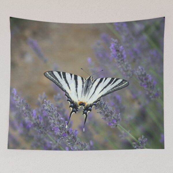 Item preview, Stunning Swallowtail On Lavender Spike Photograph designed and sold by taiche.