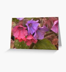 lovely boy girl plant Greeting Card