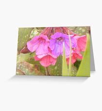 got pink? Greeting Card