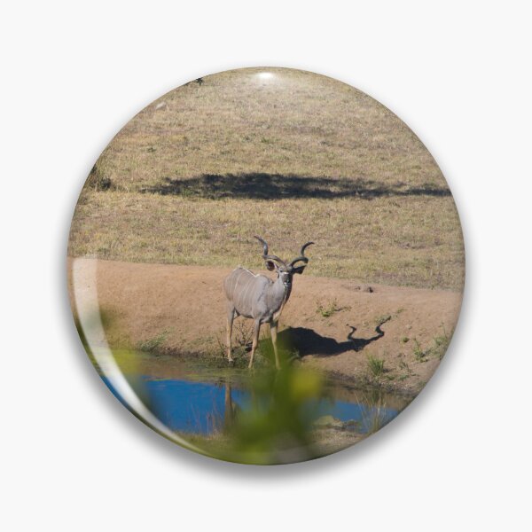 Item preview, Kudu Stare Down designed and sold by RPMouton.
