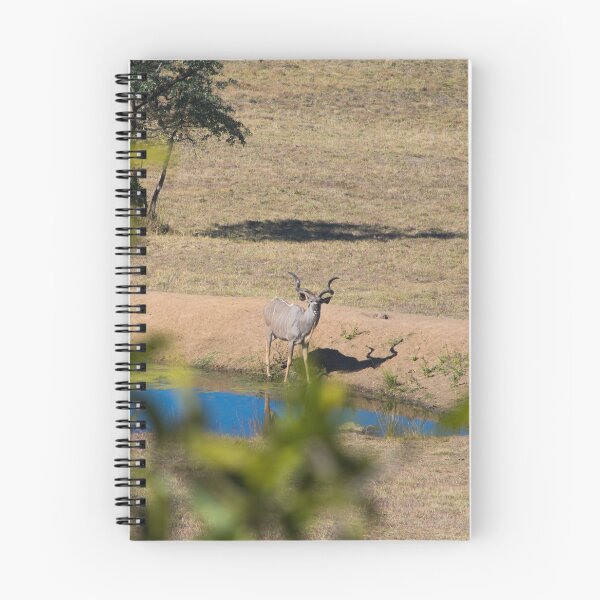 Item preview, Kudu Stare Down designed and sold by RPMouton.
