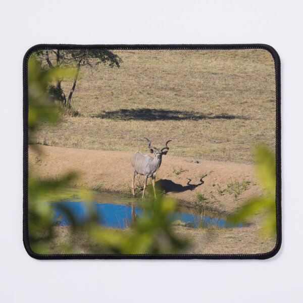 Item preview, Kudu Stare Down designed and sold by RPMouton.