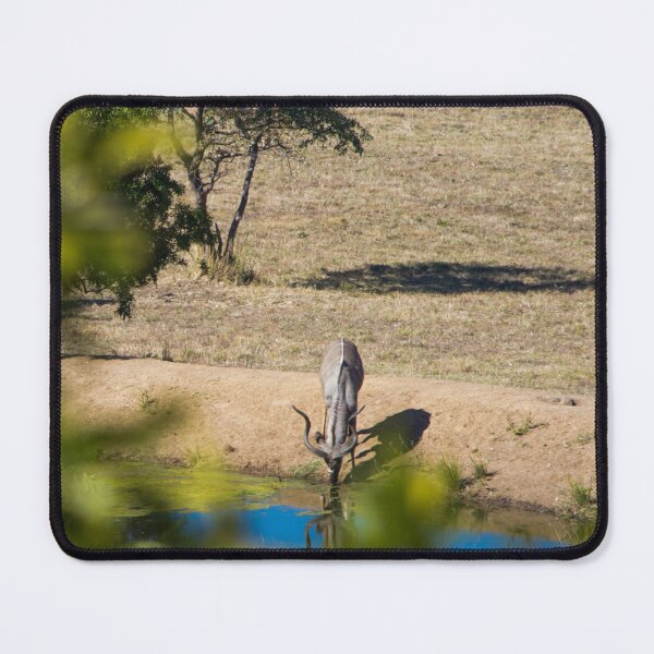 Item preview, Kudu Drinking designed and sold by RPMouton.