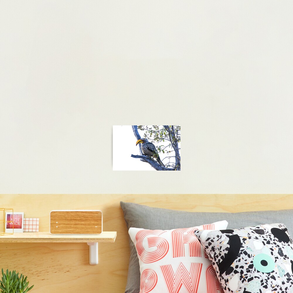 Item preview, Photographic Print designed and sold by RPMouton.