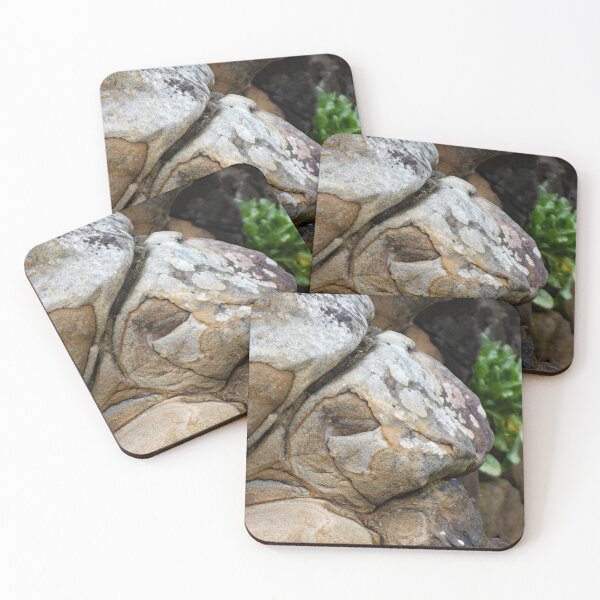 Item preview, Sagulo Turtle designed and sold by Yampimon.