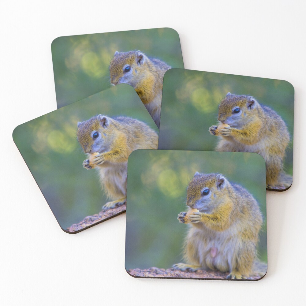 Item preview, Coasters (Set of 4) designed and sold by RPMouton.