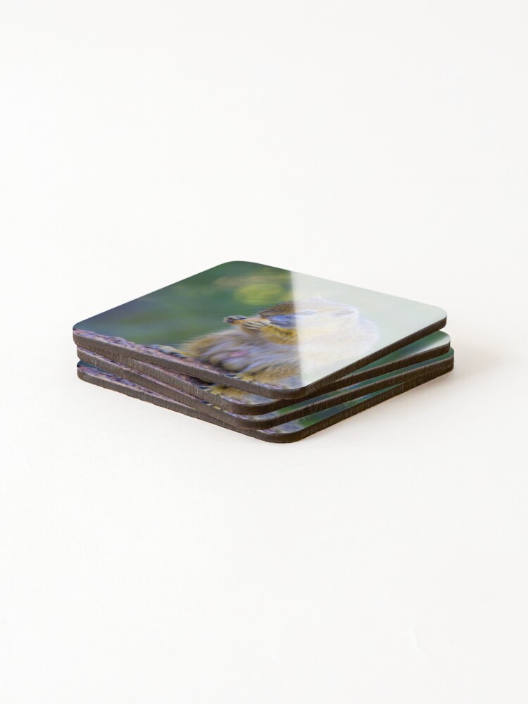 Thumbnail 4 of 5, Coasters (Set of 4), Squirrel Snacking designed and sold by RPMouton.