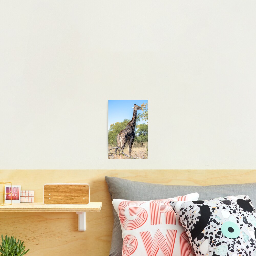 Item preview, Photographic Print designed and sold by RPMouton.