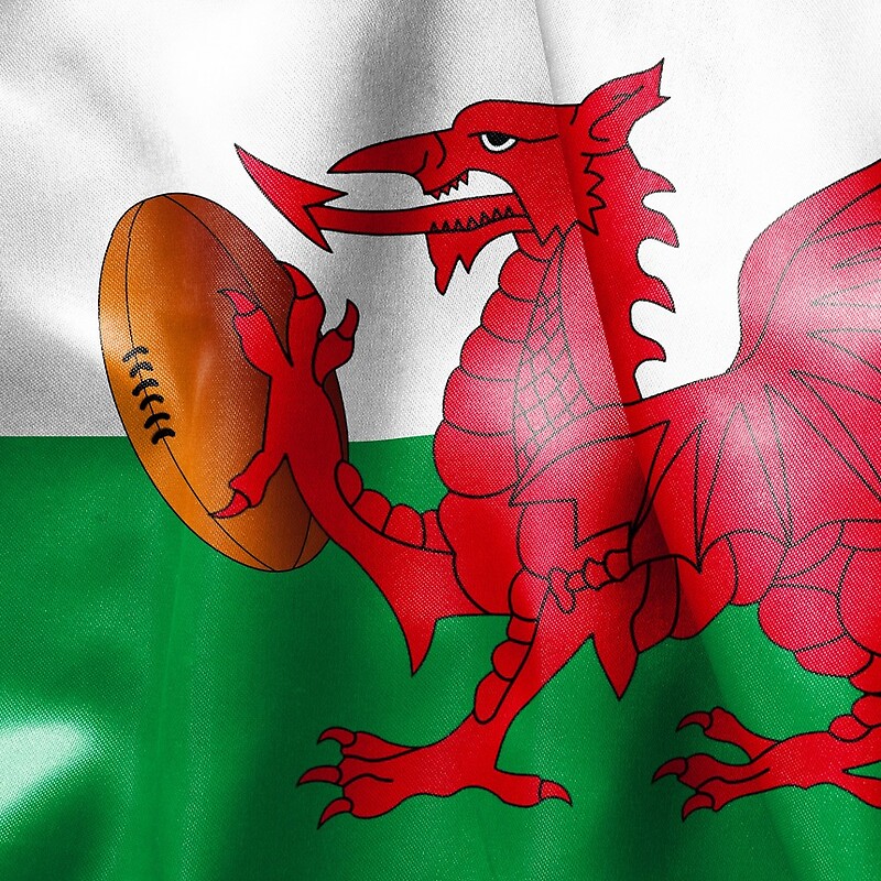 Welsh Flag Dress Adult Fancy Dress Costume [BQ030977] : Karnival ...