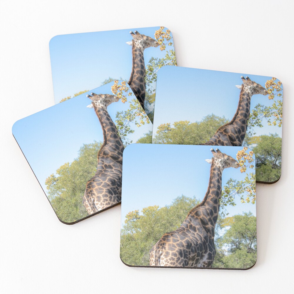 Item preview, Coasters (Set of 4) designed and sold by RPMouton.
