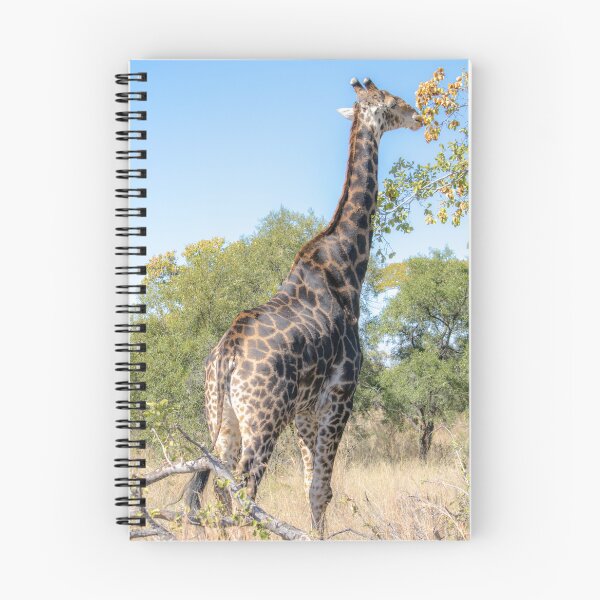 Item preview, Giraffe Posing designed and sold by RPMouton.
