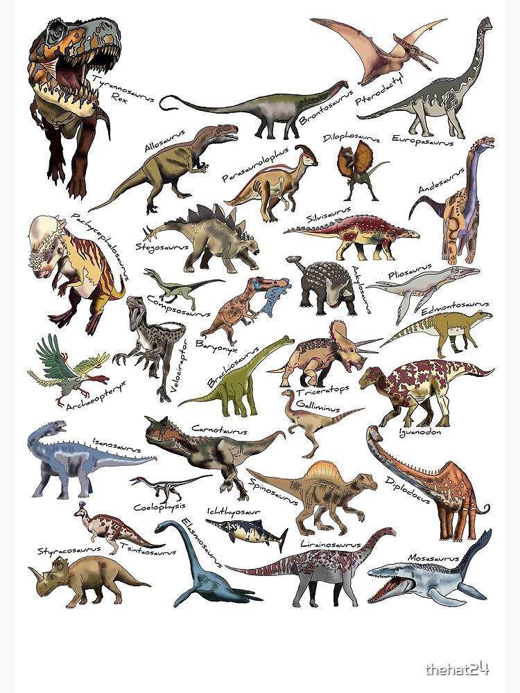 Dinosaur Chart Poster