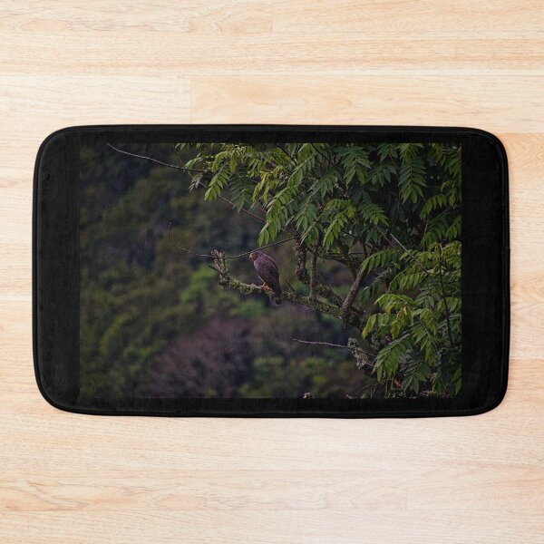 Item preview, Roadside Hawk Near Fenicia designed and sold by alabca.