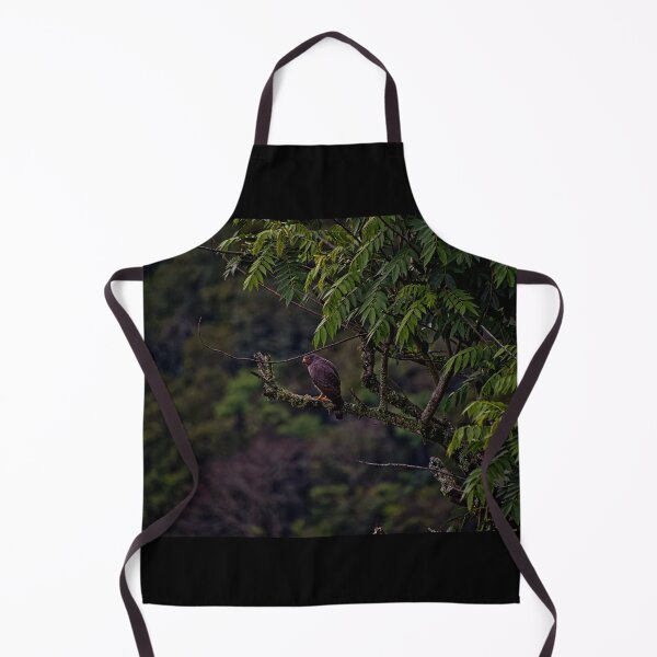 Item preview, Roadside Hawk Near Fenicia designed and sold by alabca.