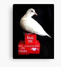 Hug Me My Valentine I'm Yours I♥U - White Dove - NZ Canvas Print