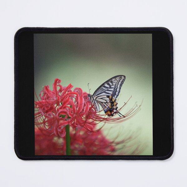 Item preview, Musée national australien Top mousseline designed and sold by ClaudieDicki.