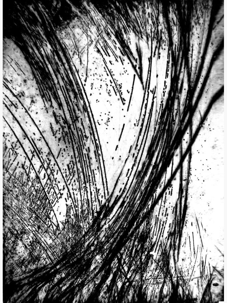 "SUMMER RAIN CALCOGRAPHY AQUAFORTE ETCHING BLACK LINES" Sticker