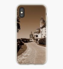 Loches iPhone Case