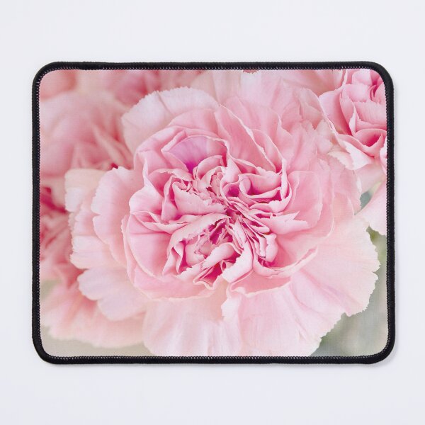 Item preview, Carnations designed and sold by Wander & Craft.