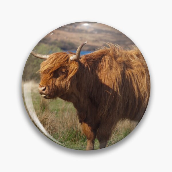 Item preview, Highland Coo designed and sold by heidipics.