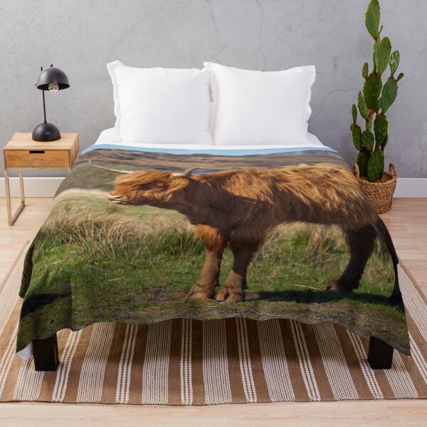 Item preview, Highland Coo designed and sold by heidipics.