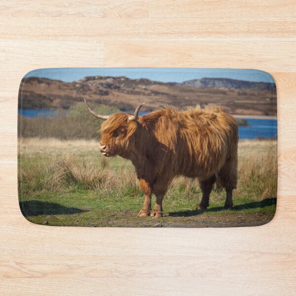 Item preview, Highland Coo designed and sold by heidipics.