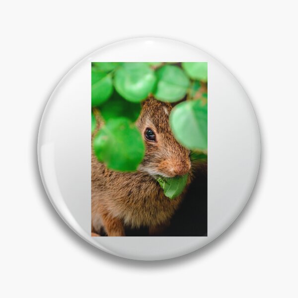 Item preview, Bunny T-ShirtHungry Bunny Photograph designed and sold by AllunaMaris.