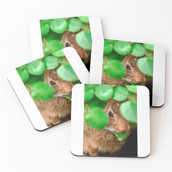 Item preview, Bunny T-ShirtHungry Bunny Photograph designed and sold by AllunaMaris.