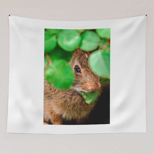 Item preview, Bunny T-ShirtHungry Bunny Photograph designed and sold by AllunaMaris.