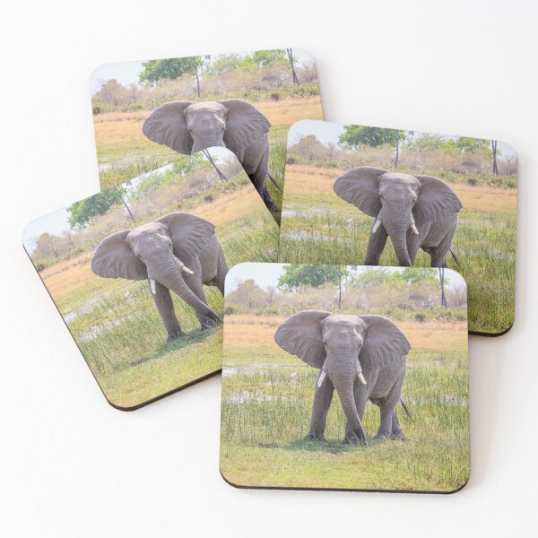 Item preview, African bush elephant, Loxodonta africana designed and sold by Graham Prentice.