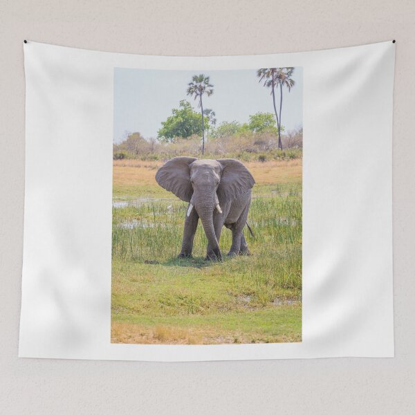 Item preview, African bush elephant, Loxodonta africana designed and sold by Graham Prentice.