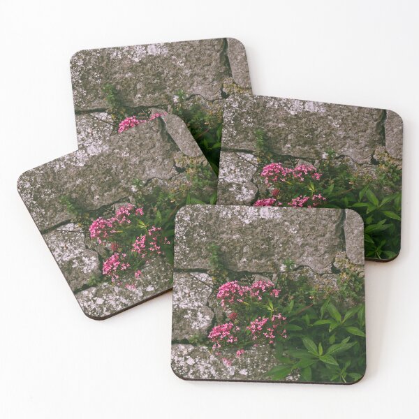 Item preview, Delicate pink against a stone castle wall designed and sold by TheNinthMemory.