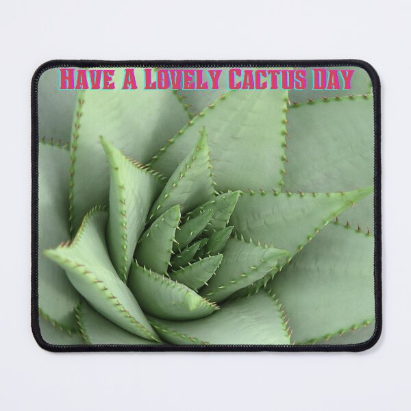 Item preview, Prickly Succulent Sage Green Lovely Cactus Summers Day  designed and sold by Darlene Douglas-Jackson.