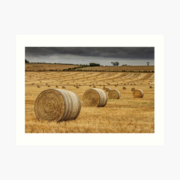 0157 The Hayfield Art Print