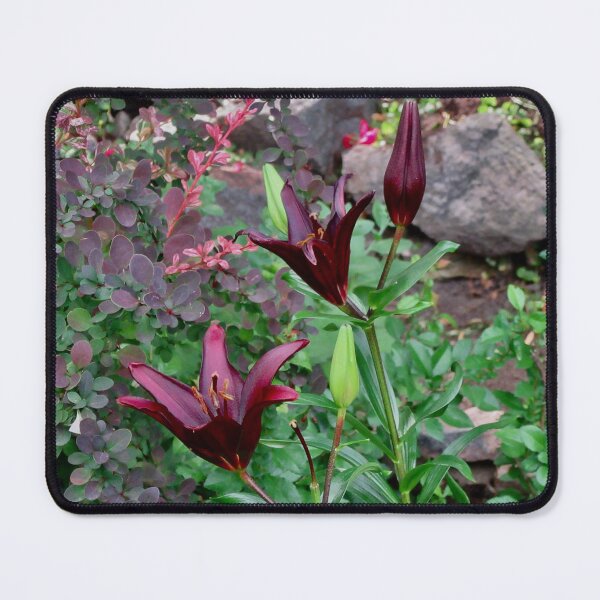 Item preview, Beautiful dark lilies designed and sold by Shulie1.