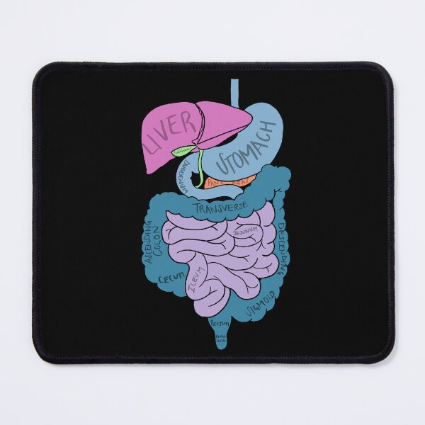 Item preview, Abdomen Anatomy designed and sold by jasleenM.